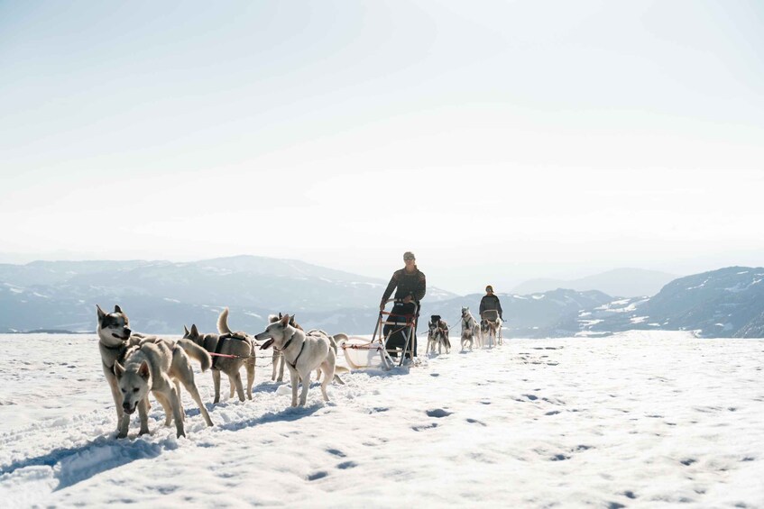 A group of sled dogs pulling a sled across a snowy landscape with mountains in the background. 5