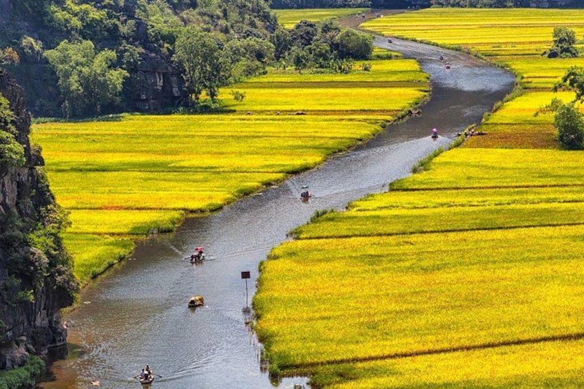 Tam Coc rice fields 2