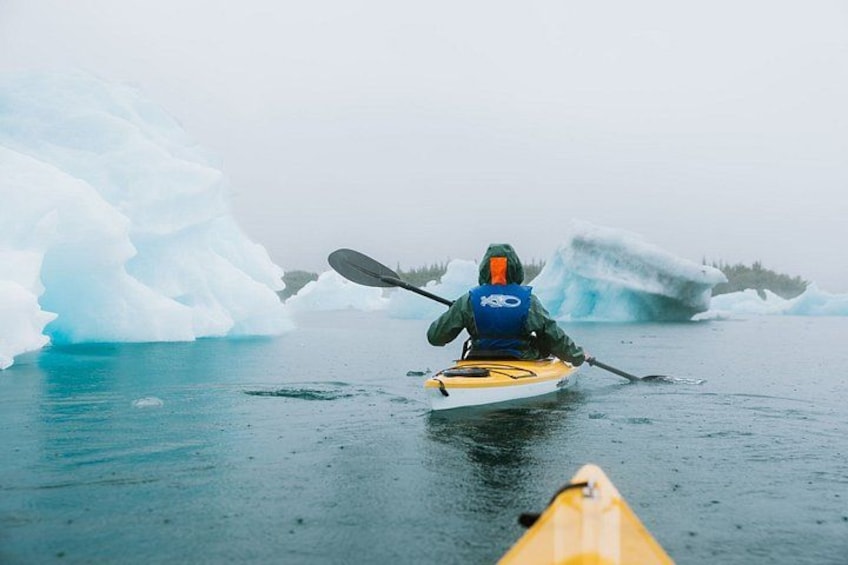 A person kayaking on a calm body of water with large icebergs in the background. 4