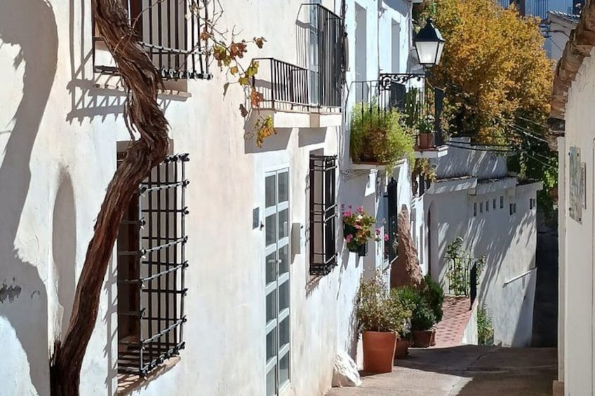 A narrow street with white buildings, balconies with black railings, and potted plants. 3