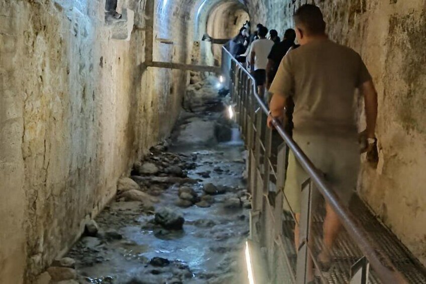 Guided tour of Cazorla and oil tasting 2