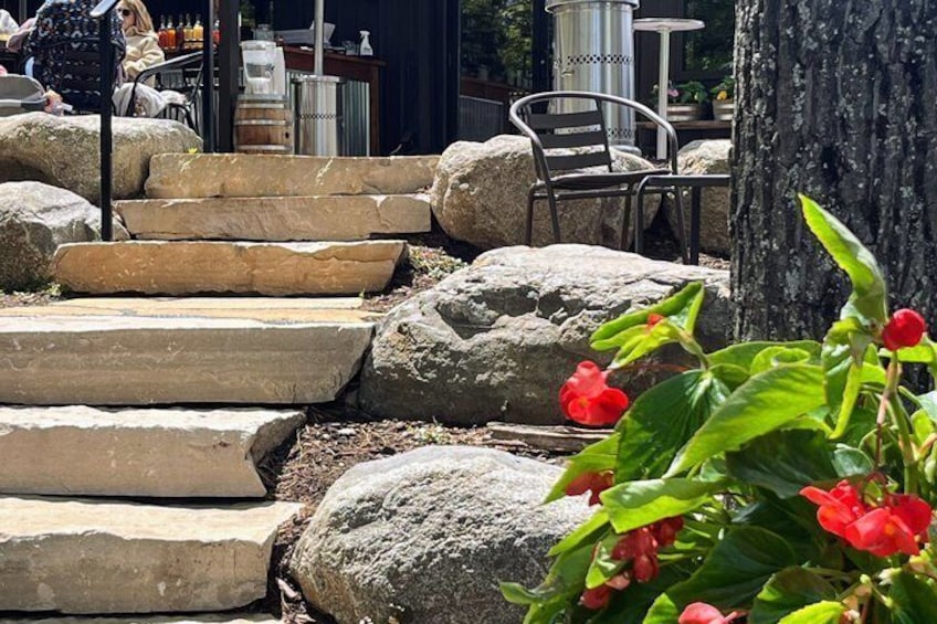 Stone steps, a tree, and red flowers. 2