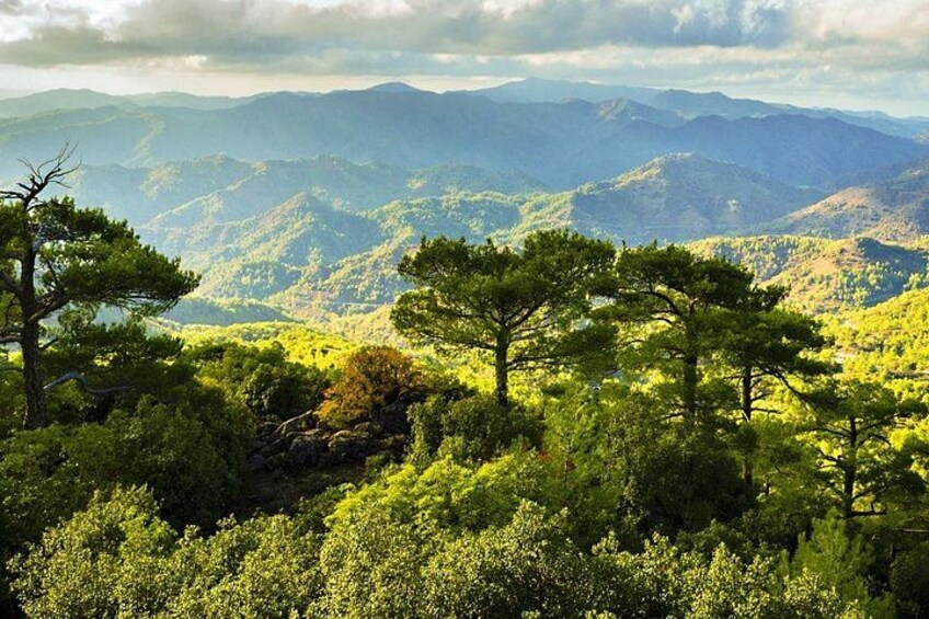 A mountainous landscape with dense green foliage and a clear sky. 2