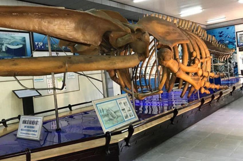 Nha Trang Sightseeing Tour Highlights and Hidden Treasures 2