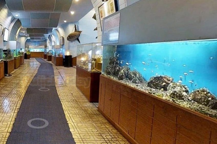 A corridor with aquarium tanks, wooden cabinets, and a tiled floor. 4