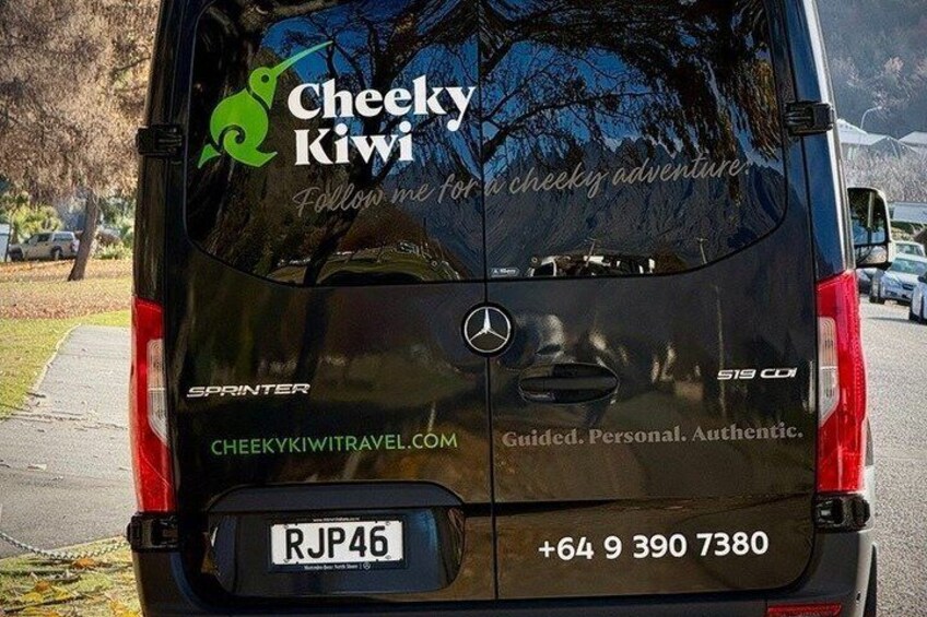 A black vehicle with a license plate RJP46, a phone number, and a website URL. 2