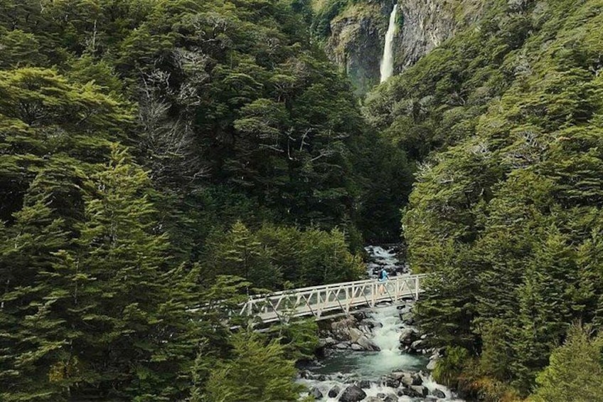 TranzAlpine Train to Arthur's Pass from Christchurch with Lunch 4