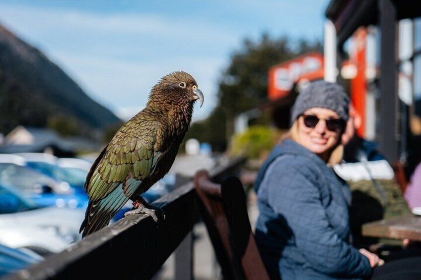 TranzAlpine Train & Small Group Tour to Arthurs Pass with Lunch 2