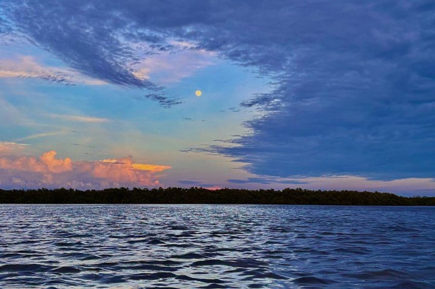 Una masa de agua bajo un cielo iluminado por la luna y una costa distante. 3