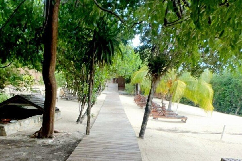 Un sendero pavimentado bordeado de árboles y un edificio al fondo. 1