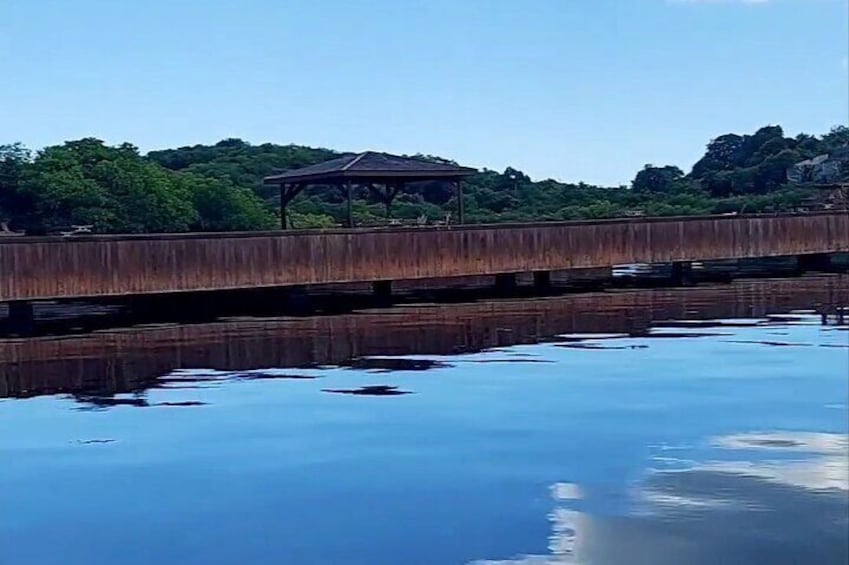 Un puente de madera sobre aguas tranquilas con un pabellón, rodeado de follaje. 3