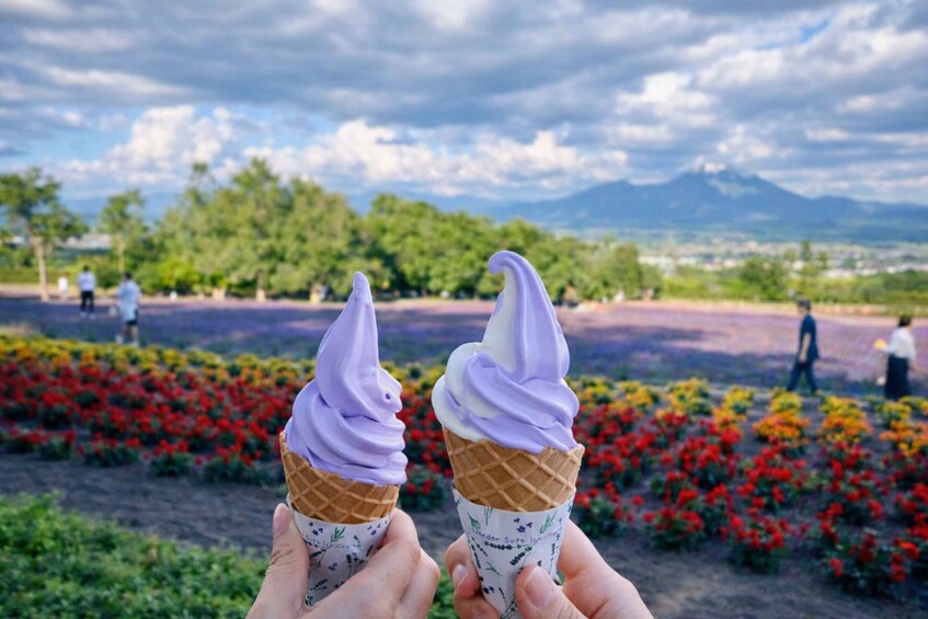 Two ice cream cones held by hands, with a field of colorful flowers and a mountain in the background. 3