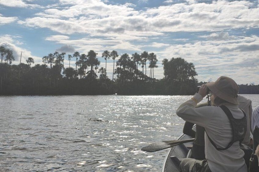 A person in a boat taking a photograph of a shoreline with palm trees. 2
