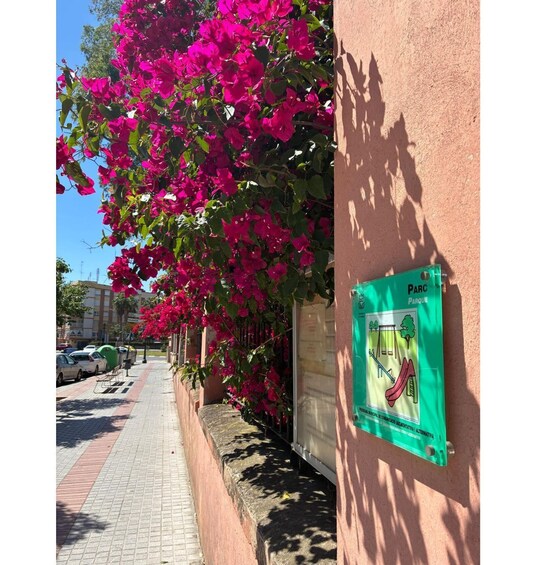 A sidewalk with bougainvillea flowers, a green sign on a building, and parked cars. 5