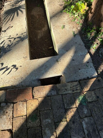 A concrete planter with a drainage hole, surrounded by brick pavement and greenery. 4