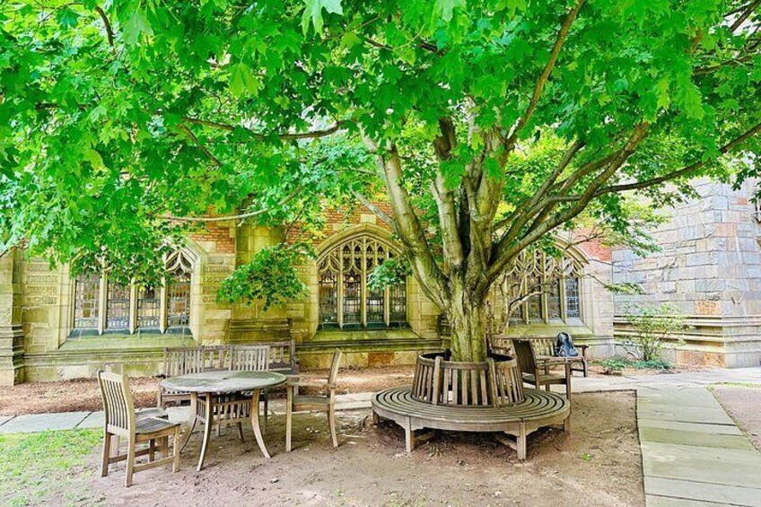 Yale University Self‑Guided Walking Tour 2