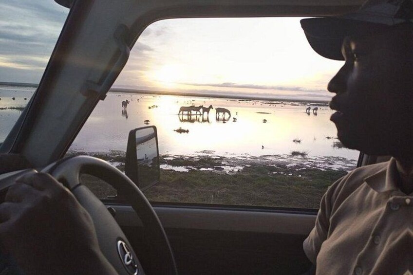 A vehicle's interior with a view of a sunset over a body of water. 4