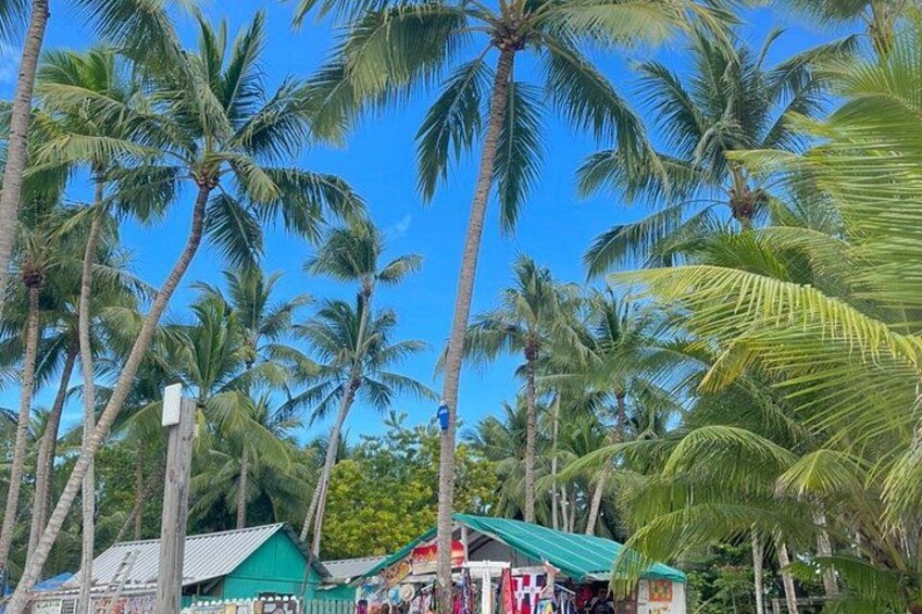 Punta Cana: Saona Island All-Inclusive catamaran drinks and lunch 2
