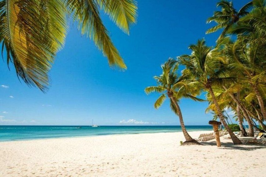A beach with white sand, palm trees, and a clear blue sky. 4
