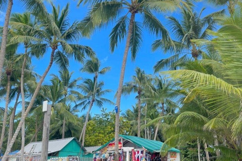 Una playa tropical con palmeras y una pequeña tienda con techo verde. 2