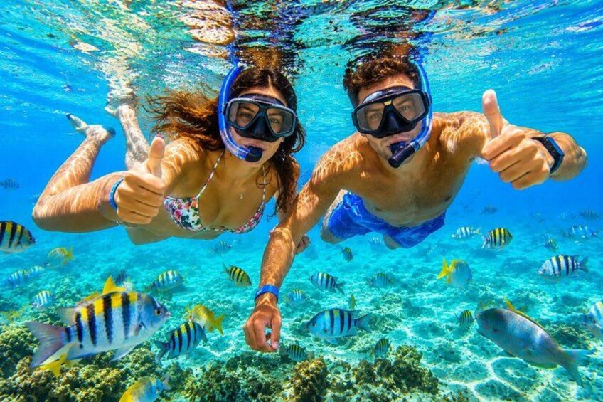 Punta Cana: Saona Island All-Inclusive catamaran drinks and lunch 3