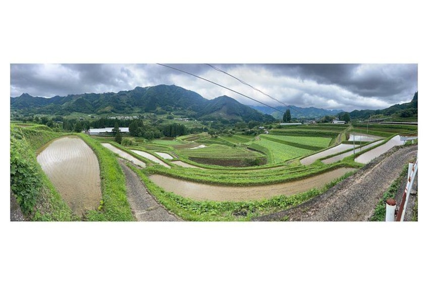A terraced rice field with a water body and mountains in the background. 2
