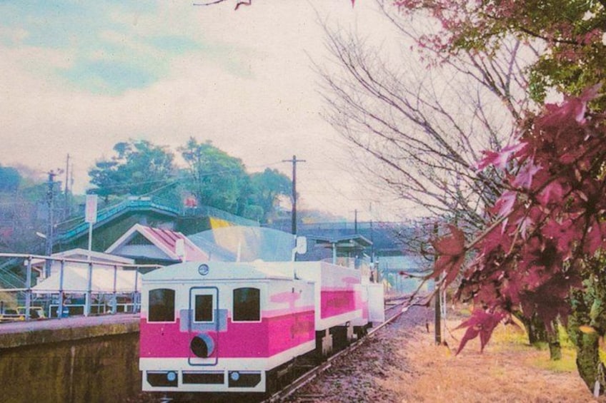 A pink and white train at a station with a bridge and trees in the background. 3