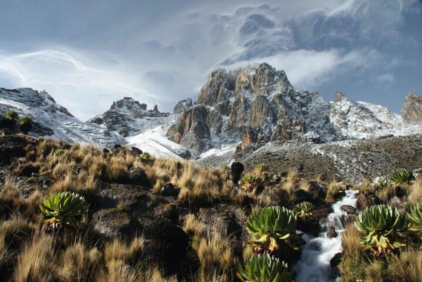 A mountainous landscape with rocky outcrops, a flowing stream, and succulent plants. 3