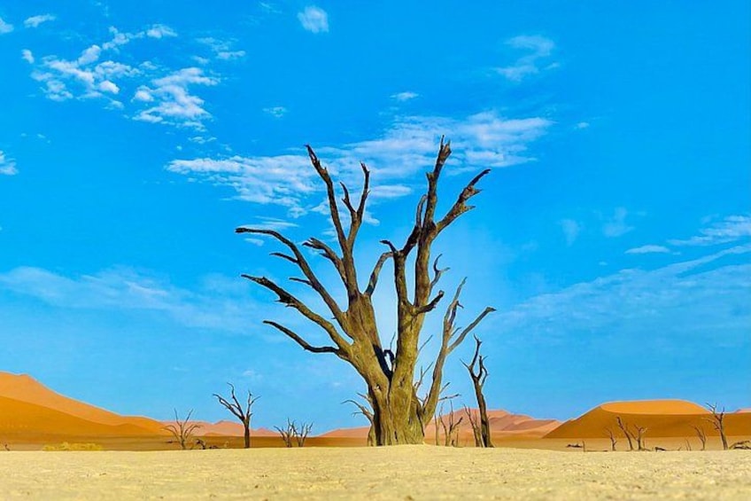 Windhoek to Swakopmund 2