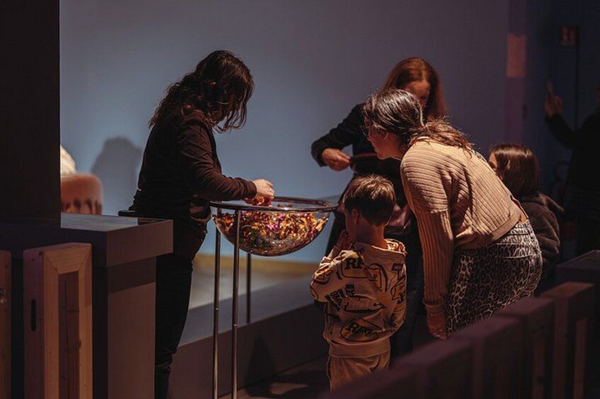 Chocolate Museum Entrance Ticket 3