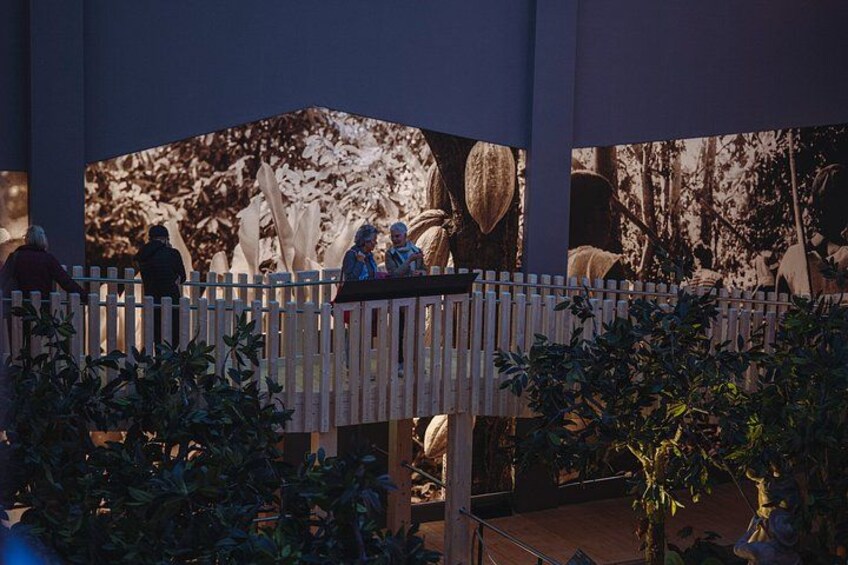 Chocolate Museum Entrance Ticket 5