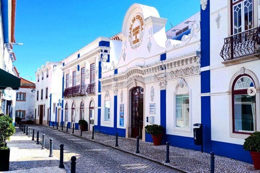 Calle empedrada flanqueada por edificios con fachadas azules y blancas, detalles arquitectónicos ornamentales y macetas con plantas. 3