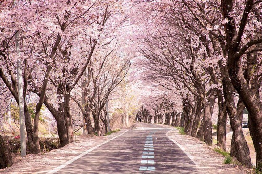 Noboribetsu, Lake Toya and Niseko Day Tour from Sapporo 2