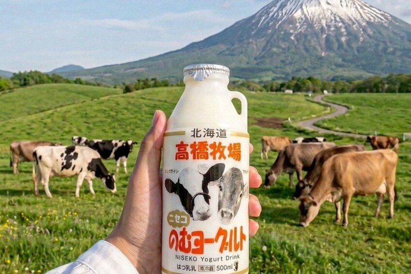 Noboribetsu, Lake Toya and Niseko Day Tour from Sapporo 5