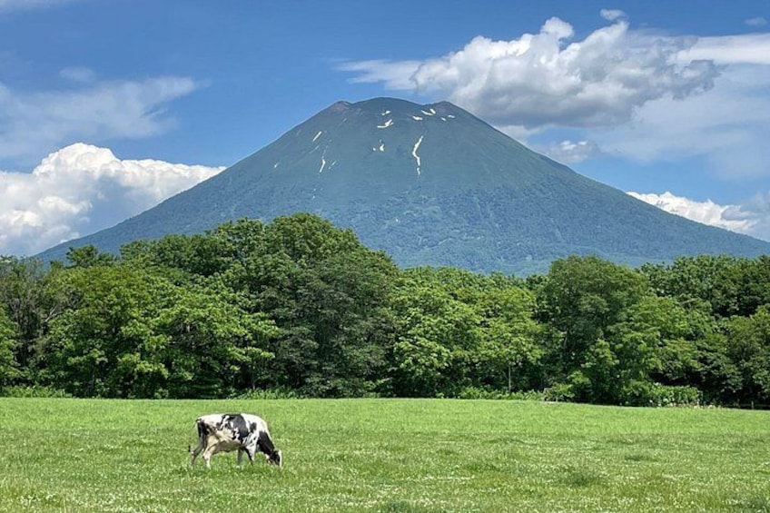 Noboribetsu, Lake Toya and Niseko Day Tour from Sapporo 2