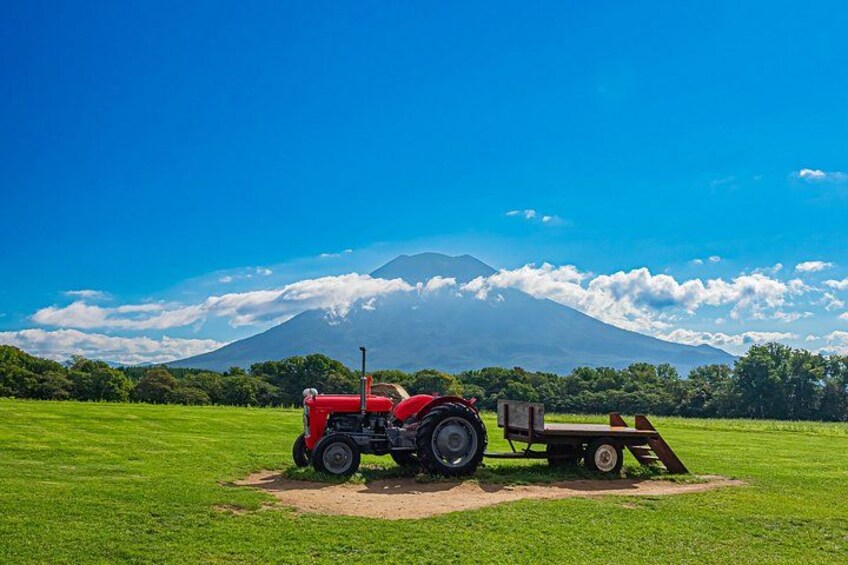Noboribetsu, Lake Toya and Niseko Day Tour from Sapporo 5