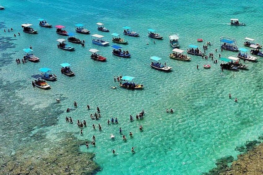 São Miguel dos Milagres leaving from Maceió with transport 3