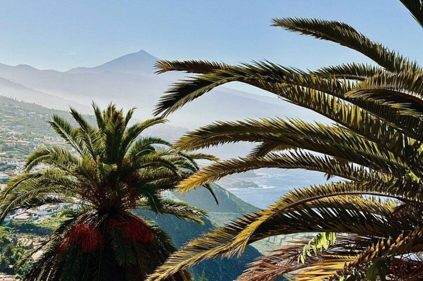 Private Mount Teide & Anaga Forest Tour 2