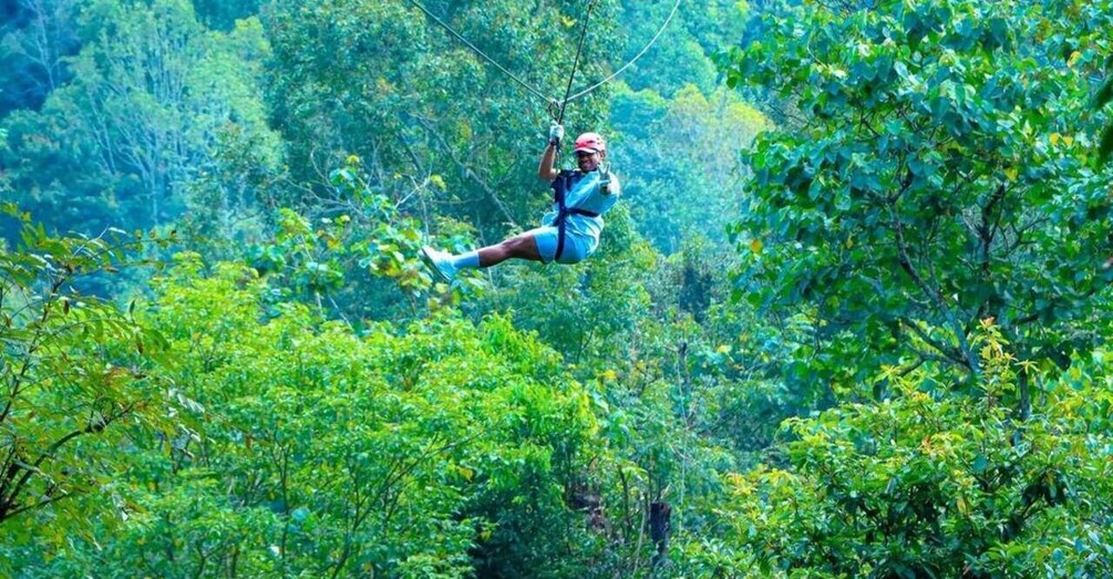 A person ziplining through a dense forest. 4