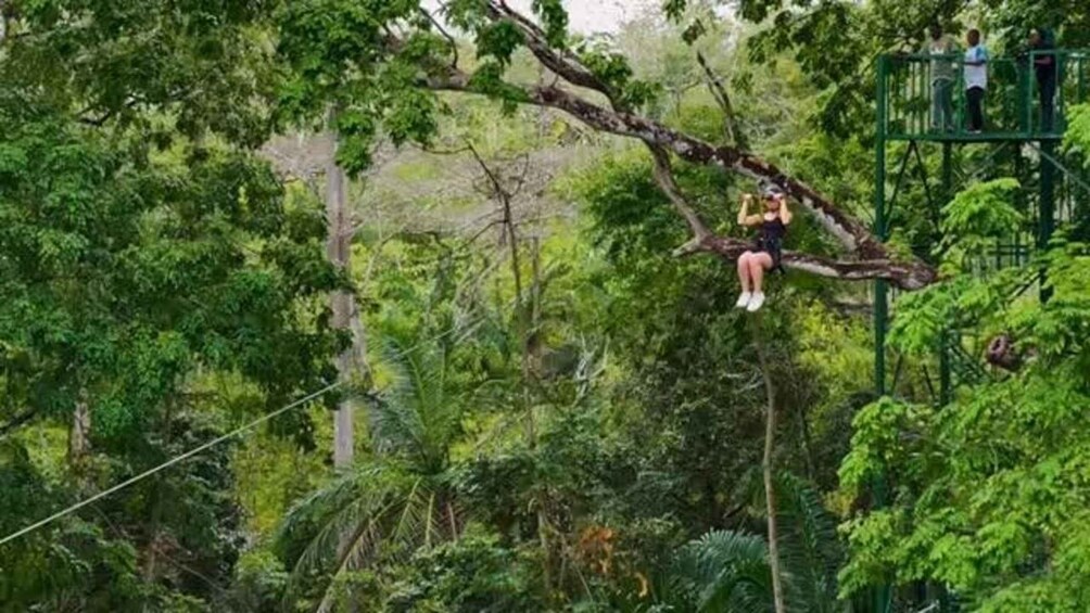 A person zip-lining through a forest with dense foliage. 5