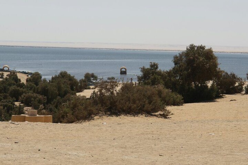 A coastal landscape with sparse vegetation, a sandy beach, and a body of water in the distance. 1