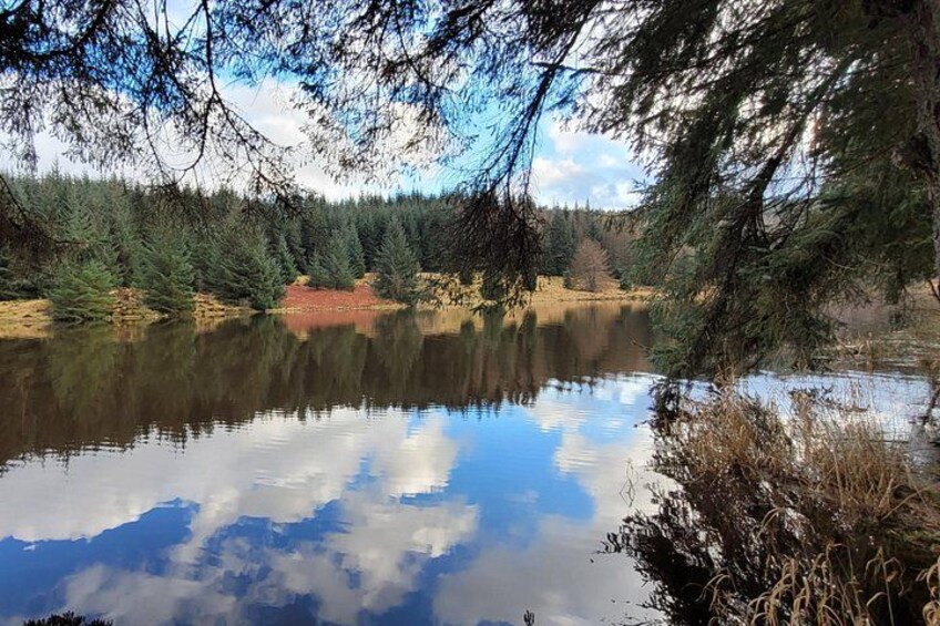 A calm lake surrounded by dense forest, with reflections of the sky and trees on the water's surface. 4