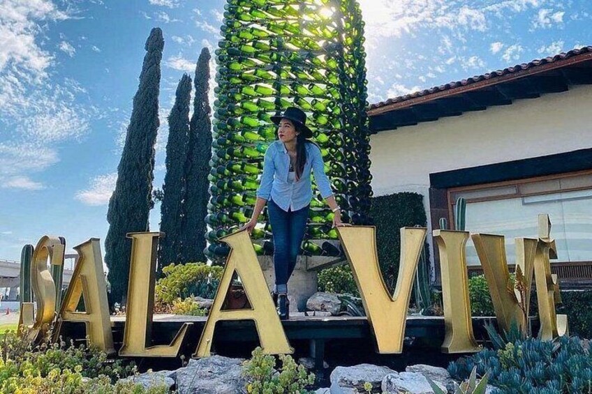 Una persona de pie frente a letras doradas grandes que deletrean 'ALAVIVI', con una estructura verde alta al fondo. 4