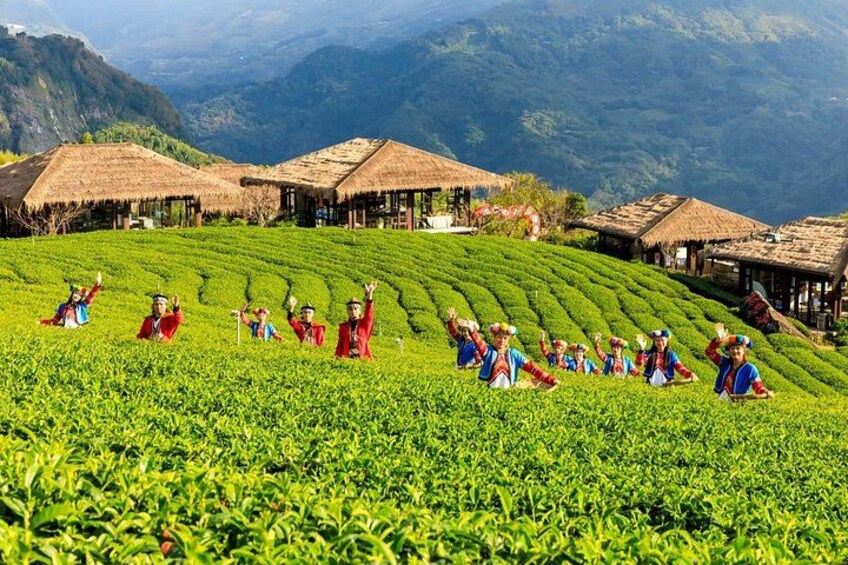 A tea plantation with workers in traditional attire. 2