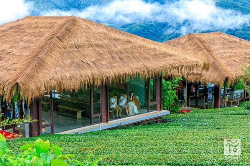 From Chiayi:Alishan Hidden Gems Join-in Tour 3