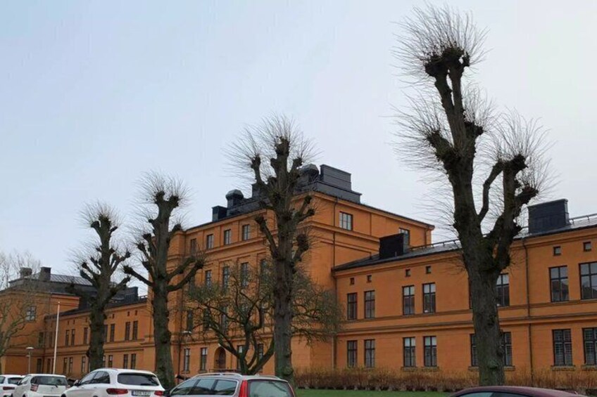 A row of orange buildings with bare trees in front. 5