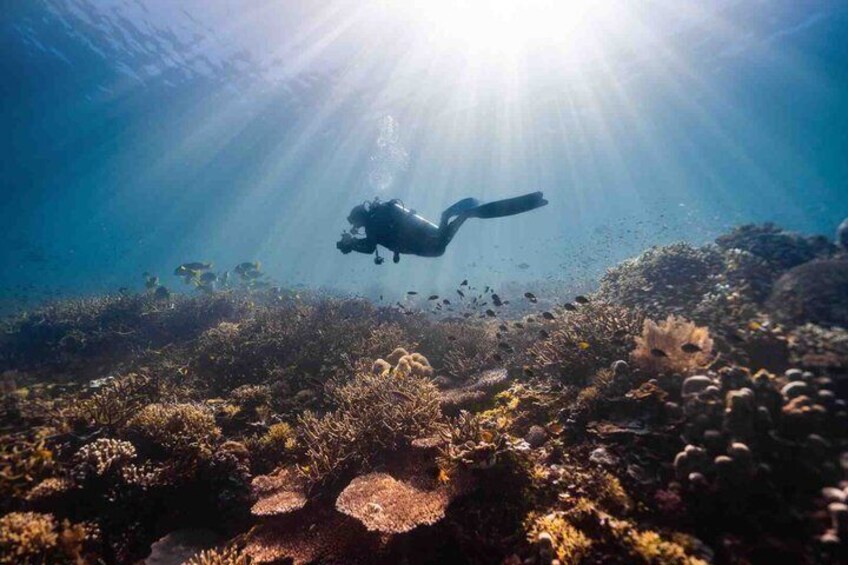 Un plongeur sous l’eau, avec les rayons du soleil qui filtrent à travers l’eau. 2