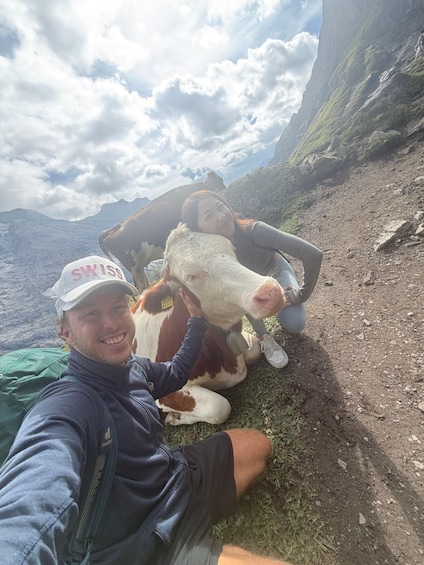 Picture 36 for Activity Kandersteg: Oeschinensee Panorama Hike with a Swiss Athlete 3