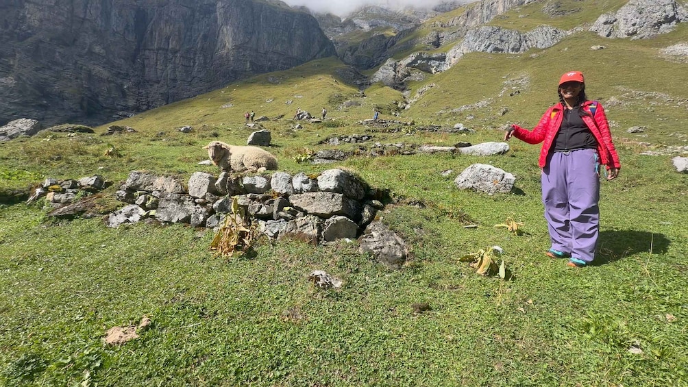 A person standing on a grassy mountain slope with a stone cairn and sheep in the foreground, and rocky mountains in the background. 2