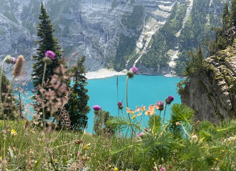 Picture 42 for Activity Kandersteg: Oeschinensee Panorama Hike with a Swiss Athlete 3